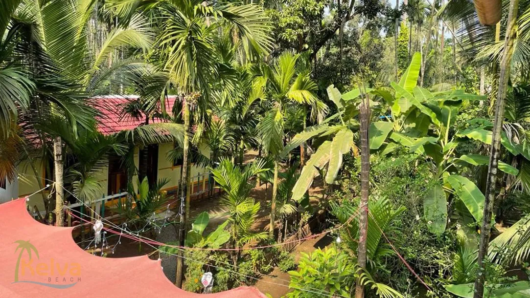 Thakur Holiday Home